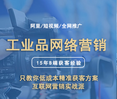 北仑工业品网络营销/别家教你画大饼，我们带你磨铁杵