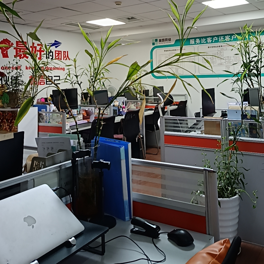 北仑工业品网络营销这行当，让我深陷其中